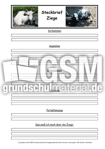 Ziege-Steckbriefvorlage.pdf